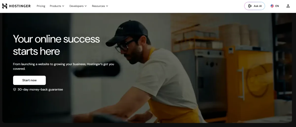 Hostinger homepage: your online success starts here