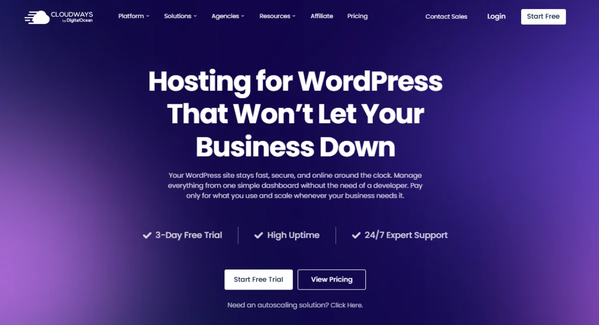 Cloudways WordPress hosting page: hosting for WordPress that won't let your business down