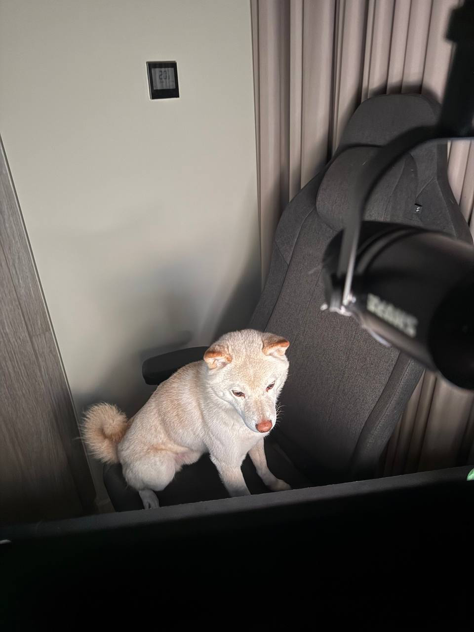 Rice, Chief Morale Officer